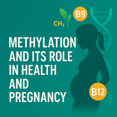 Methylation - Health & Pregnancy