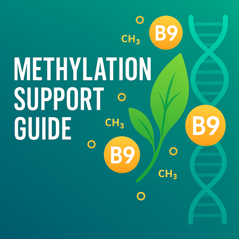 Methylation Support Guide