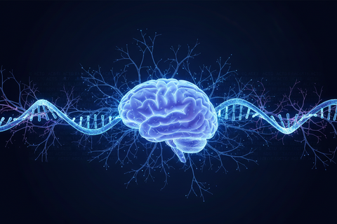 Cognitive Decline - Genetic Factors
