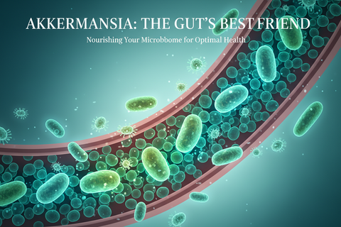 The Benefits of Akkermansia for Gut Health