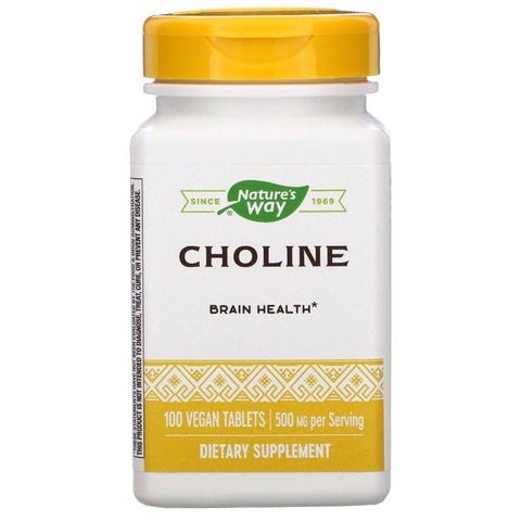 Choline 500 mg - 100 Vegan Tablets - Natures Way