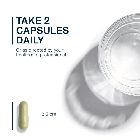 GLP-1 Complete (60 Vegan Capsules) – Vital Nutrients