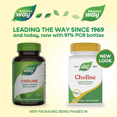 Choline 500 mg - 100 Vegan Tablets - Natures Way