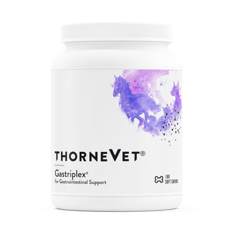 Gastriplex, Gastrointestinal Support (Animal Health) 180 Soft chews  – Thorne VET