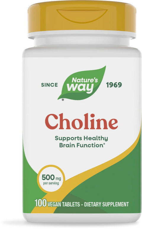 Choline 500 mg - 100 Vegan Tablets - Natures Way