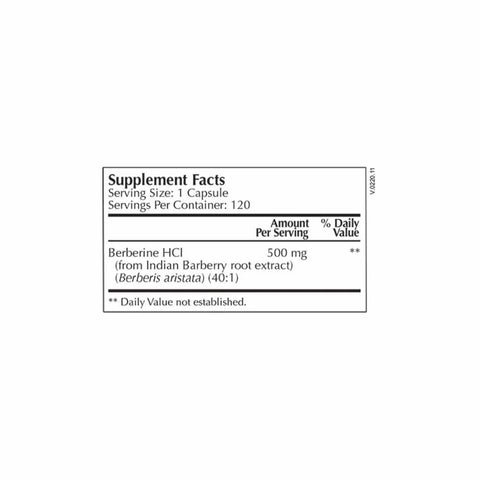 Berberine Select 500mg - 120 Capsules | Moss Nutrition