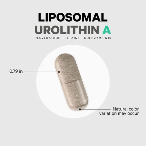 Liposomal Urolithin A - 60 Capsules | Codeage