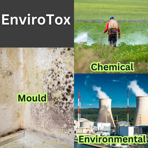 EnviroTox Complete Test Package - Mould / Chemical / Environmental Mosaic Labs