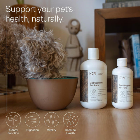 Gut Support for Pets - 473ml | Intelligence of Nature