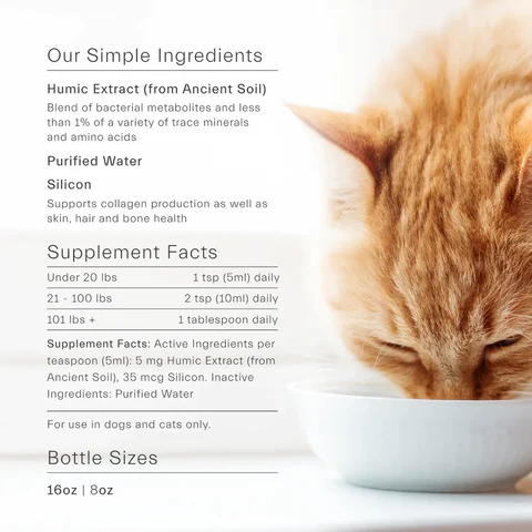 Gut Support for Pets - 473ml | Intelligence of Nature