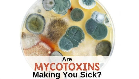 Mycotoxin Mould (Mold) Test - Mosaic Labs - Urine Test